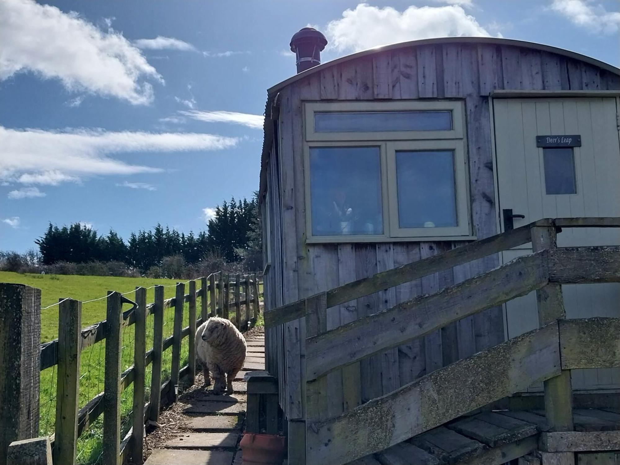Meadowbeck - Shepherd Huts Fylingdales Kültér fotó