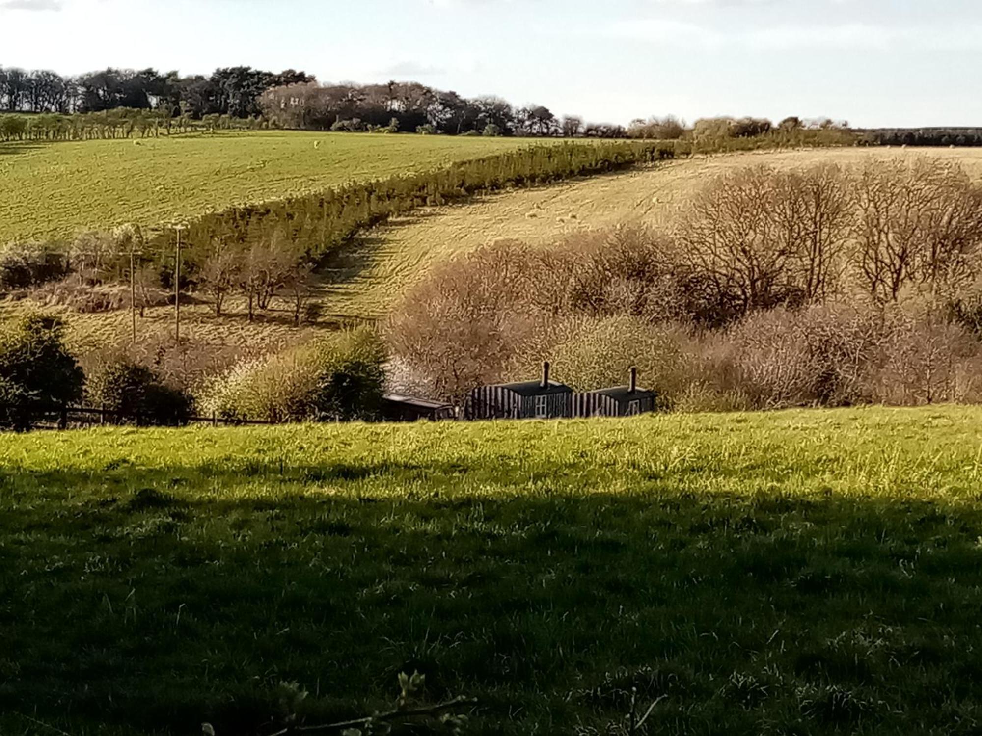 Meadowbeck - Shepherd Huts Fylingdales Kültér fotó
