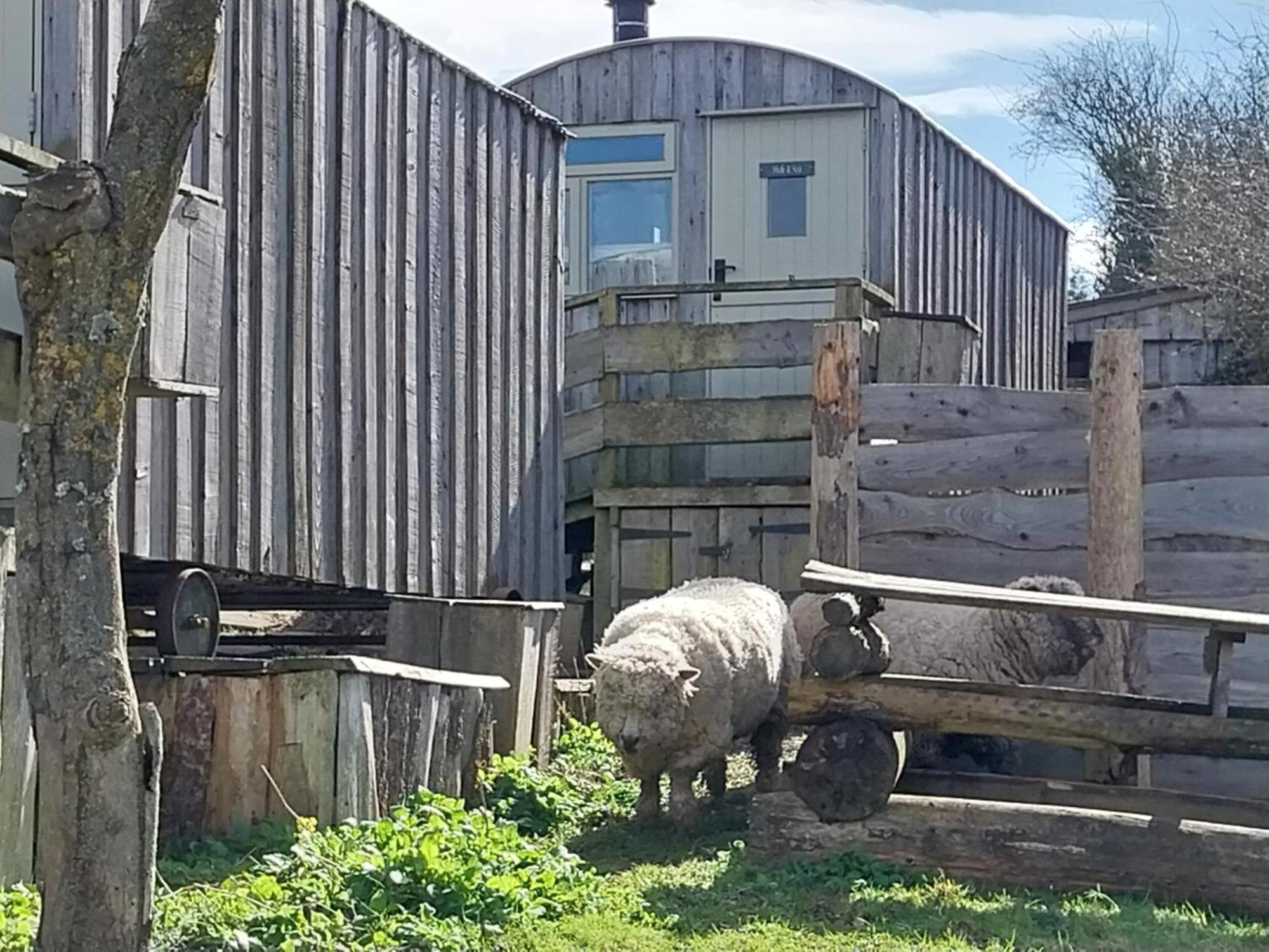 Meadowbeck - Shepherd Huts Fylingdales Kültér fotó