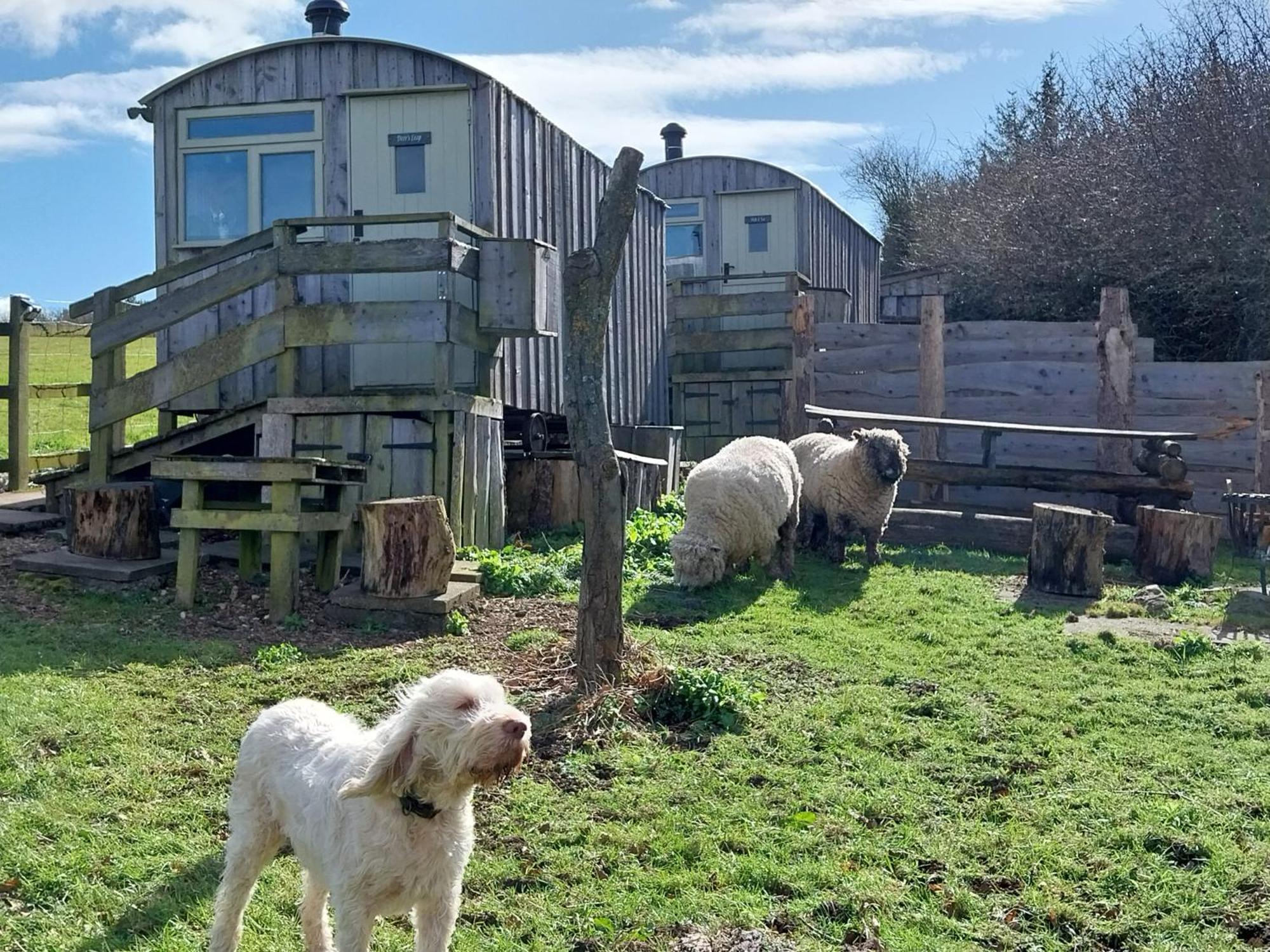 Meadowbeck - Shepherd Huts Fylingdales Kültér fotó