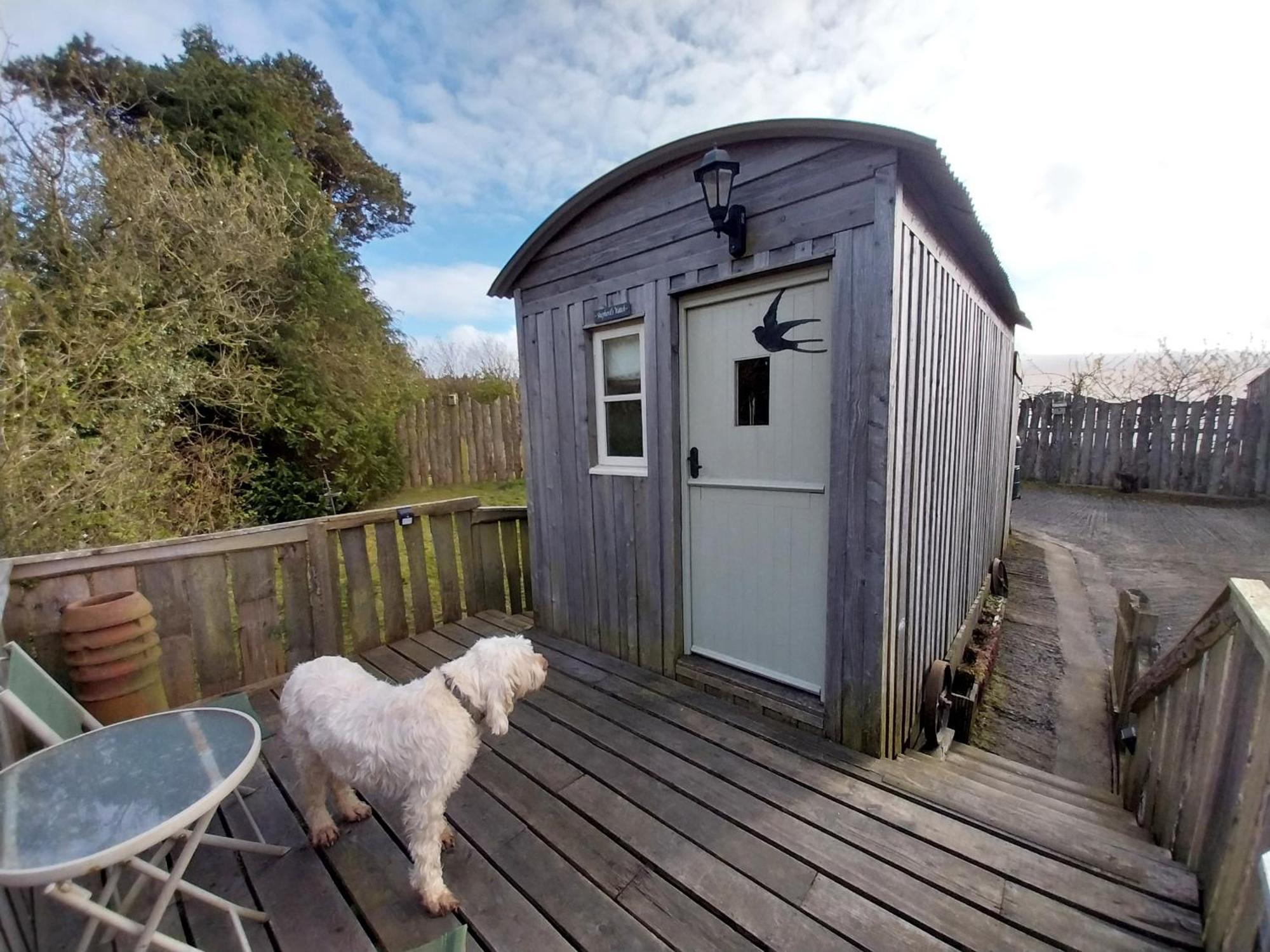 Meadowbeck - Shepherd Huts Fylingdales Kültér fotó
